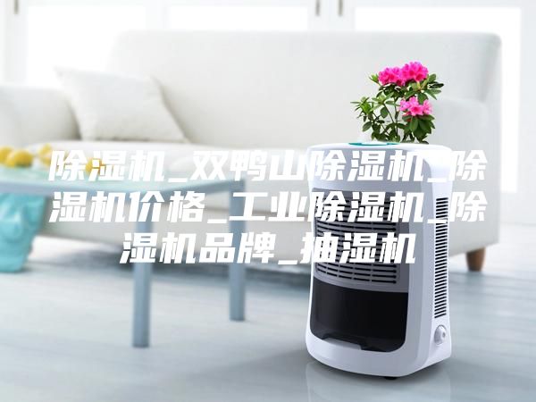 除濕機(jī)_雙鴨山除濕機(jī)_除濕機(jī)價(jià)格_工業(yè)除濕機(jī)_除濕機(jī)品牌_抽濕機(jī)