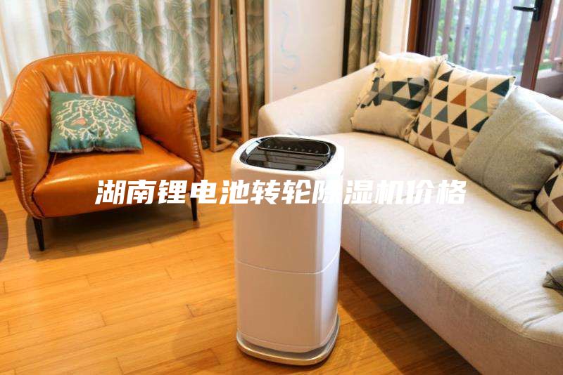 湖南鋰電池轉(zhuǎn)輪除濕機價格