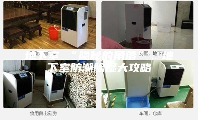 地下室≠“隱秘的角落”，地下室防潮除濕大攻略