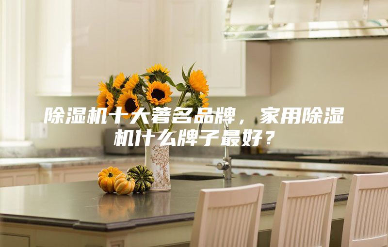 除濕機(jī)十大著名品牌，家用除濕機(jī)什么牌子最好？