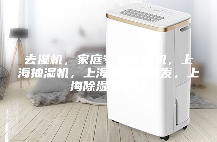 去濕機(jī)，家庭專業(yè)除濕機(jī)，上海抽濕機(jī)，上海除濕機(jī)批發(fā)，上海除濕機(jī)價(jià)錢