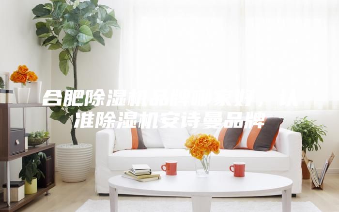 合肥除濕機品牌哪家好，認(rèn)準(zhǔn)除濕機安詩曼品牌