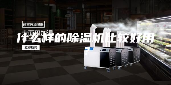 什么樣的除濕機(jī)比較好用？