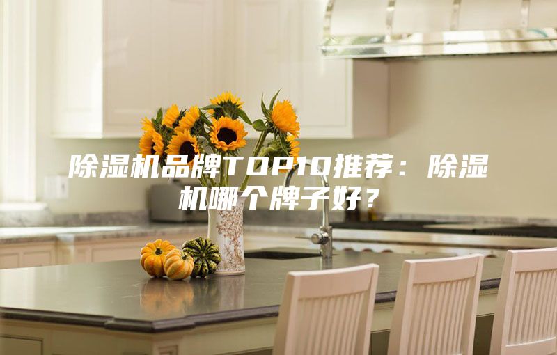 除濕機品牌TOP10推薦：除濕機哪個牌子好？