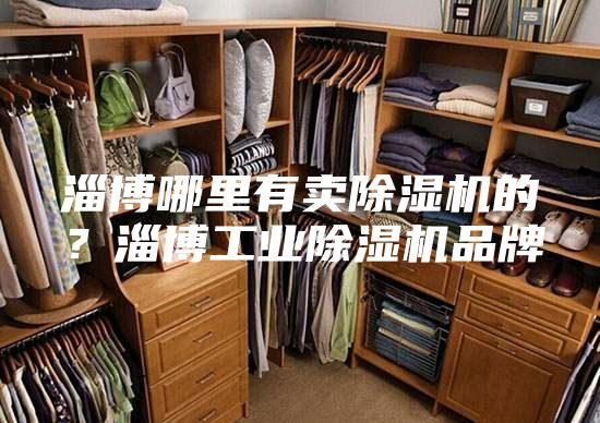 淄博哪里有賣除濕機的？淄博工業(yè)除濕機品牌