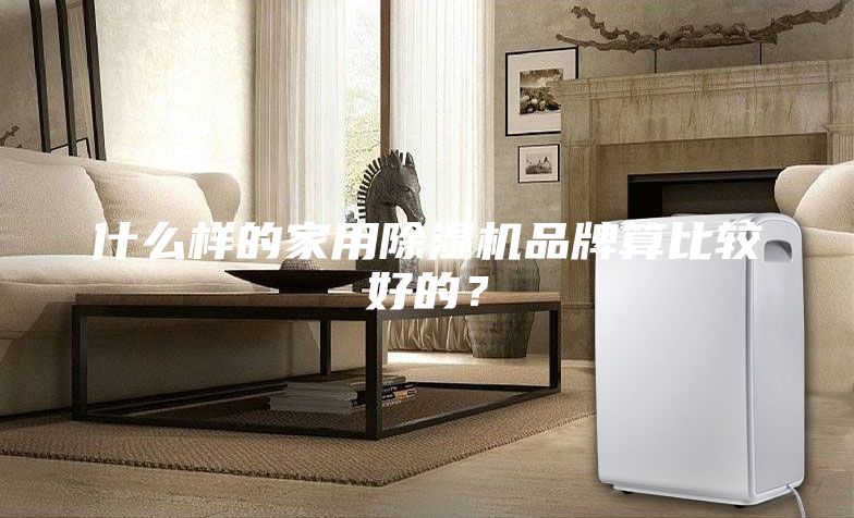 什么樣的家用除濕機(jī)品牌算比較好的？