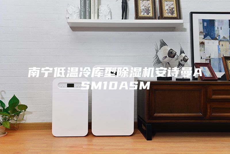 南寧低溫冷庫(kù)型除濕機(jī)安詩(shī)曼ASM10ASM