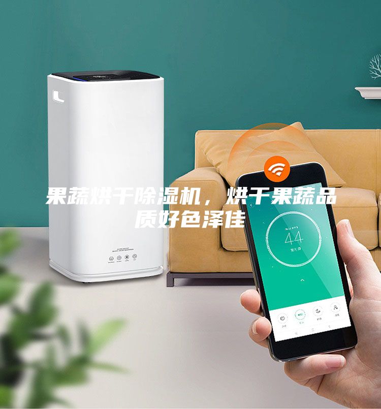 果蔬烘干除濕機(jī)，烘干果蔬品質(zhì)好色澤佳