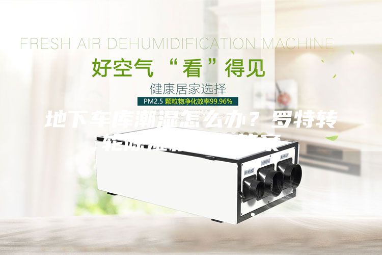 地下車庫潮濕怎么辦？羅特轉(zhuǎn)輪除濕機給你答案