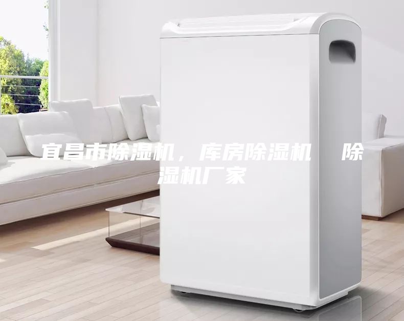 宜昌市除濕機，庫房除濕機  除濕機廠家