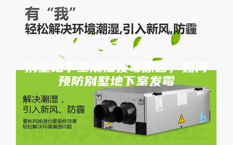 別墅地下室潮濕發(fā)霉原因，如何預(yù)防別墅地下室發(fā)霉
