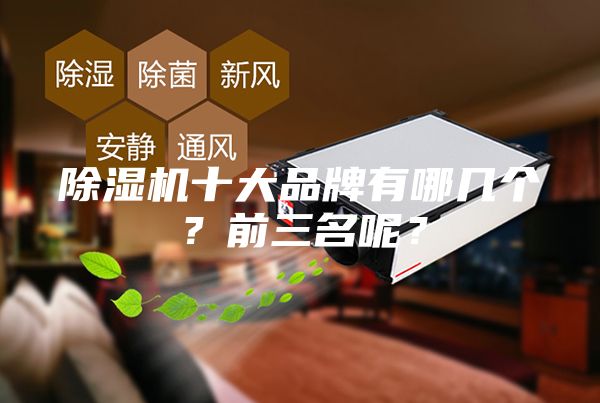 除濕機十大品牌有哪幾個？前三名呢？