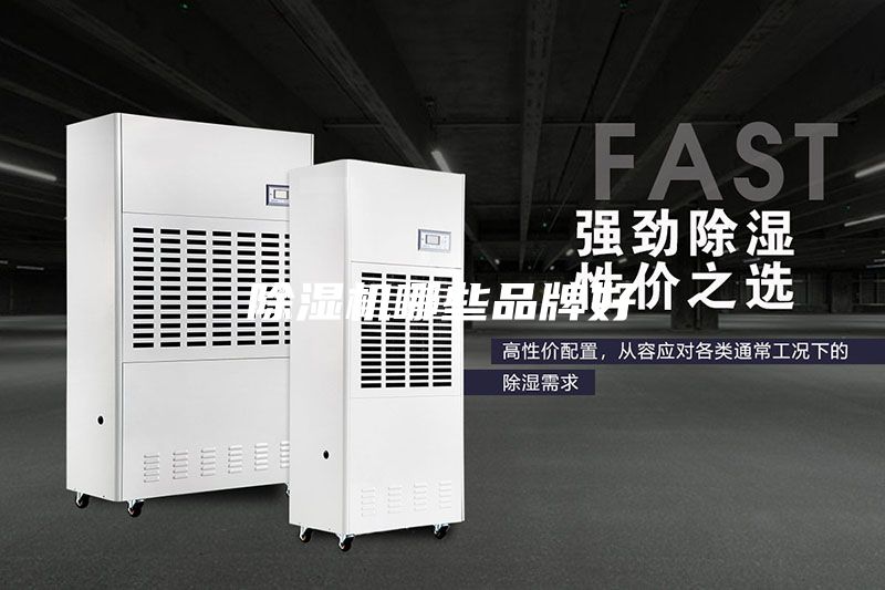 除濕機(jī)哪些品牌好
