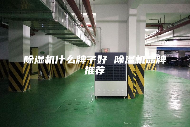 除濕機(jī)什么牌子好 除濕機(jī)品牌推薦