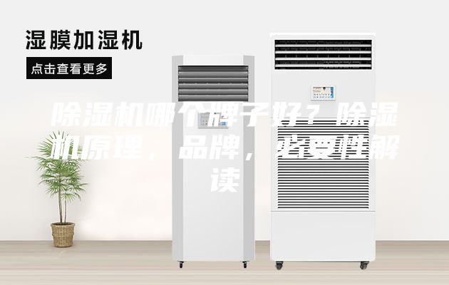 除濕機(jī)哪個(gè)牌子好？除濕機(jī)原理，品牌，必要性解讀