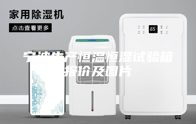寧波生產(chǎn)恒溫恒濕試驗(yàn)箱報(bào)價(jià)及圖片
