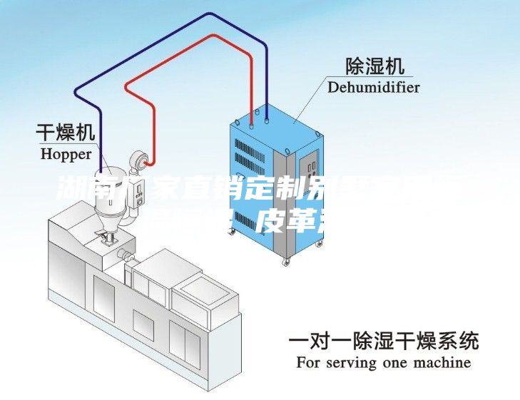 湖南廠家直銷(xiāo)定制別墅家用恒溫恒濕 皮革酒柜