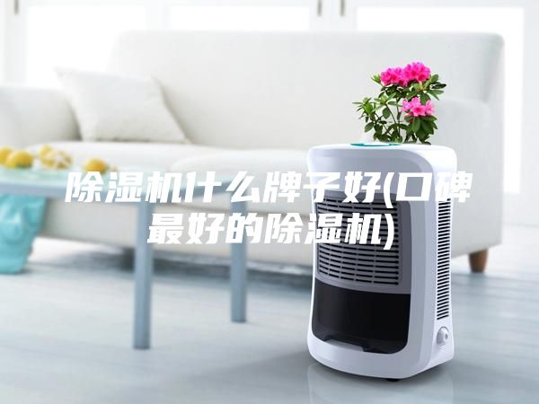 除濕機(jī)什么牌子好(口碑最好的除濕機(jī))