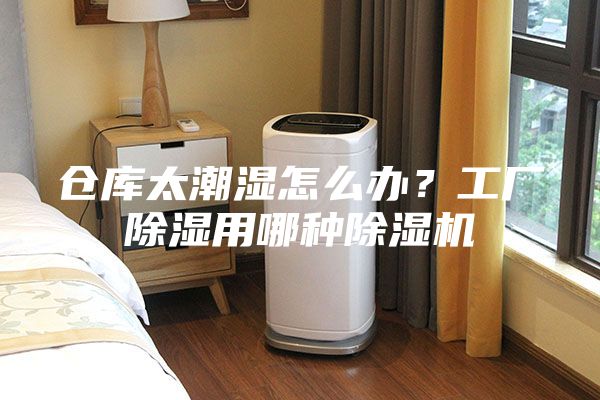 倉庫太潮濕怎么辦？工廠除濕用哪種除濕機