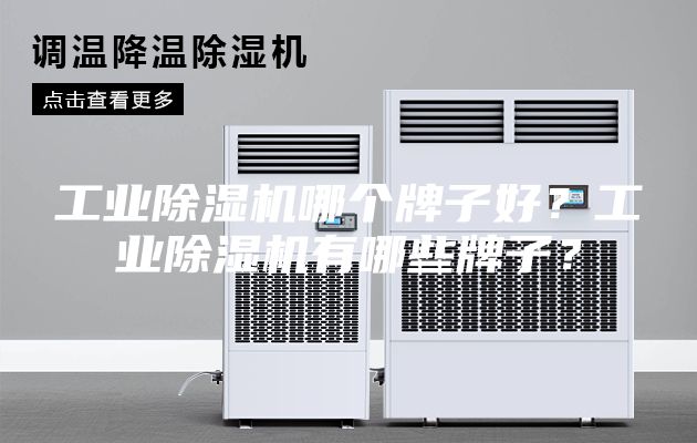 工業(yè)除濕機(jī)哪個(gè)牌子好？工業(yè)除濕機(jī)有哪些牌子？