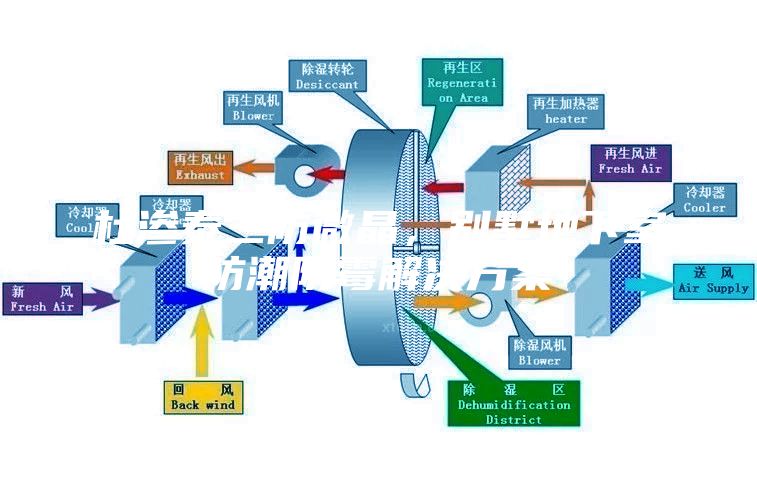 杜滲泰三防微晶，別墅地下室防潮防霉解決方案