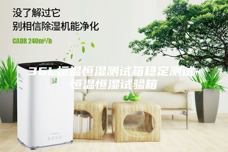 36L恒溫恒濕測試箱穩(wěn)定測試-恒溫恒濕試驗箱