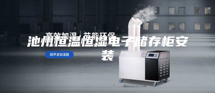 池州恒溫恒濕電子儲(chǔ)存柜安裝