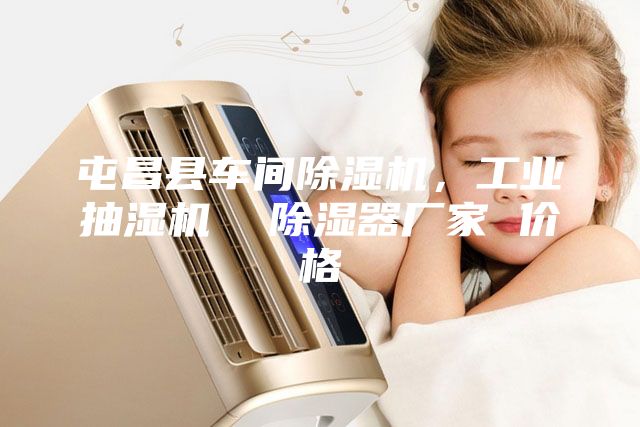 屯昌縣車間除濕機(jī)，工業(yè)抽濕機(jī)  除濕器廠家 價(jià)格