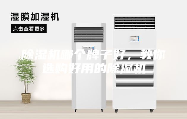 除濕機哪個牌子好，教你選購好用的除濕機