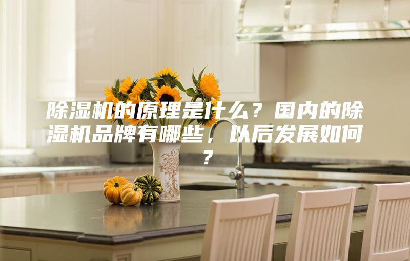 除濕機(jī)的原理是什么？國內(nèi)的除濕機(jī)品牌有哪些，以后發(fā)展如何？