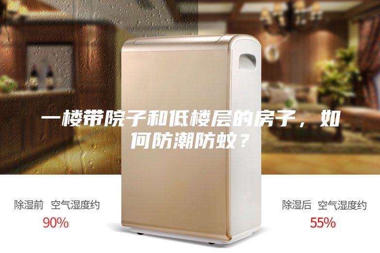 一樓帶院子和低樓層的房子，如何防潮防蚊？