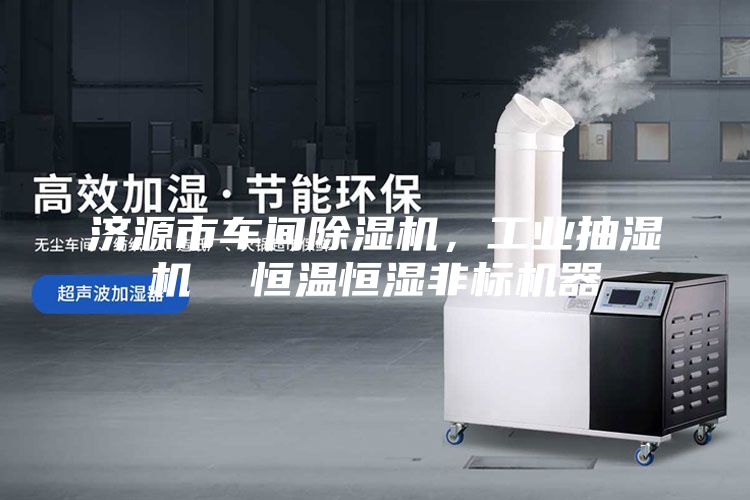 濟(jì)源市車間除濕機(jī)，工業(yè)抽濕機(jī)  恒溫恒濕非標(biāo)機(jī)器