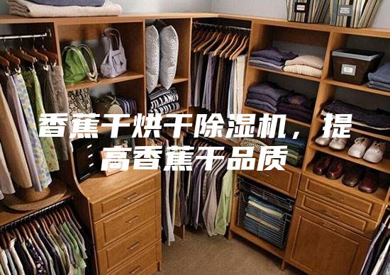 香蕉干烘干除濕機(jī)，提高香蕉干品質(zhì)