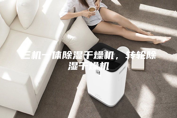 三機一體除濕干燥機，轉(zhuǎn)輪除濕干燥機