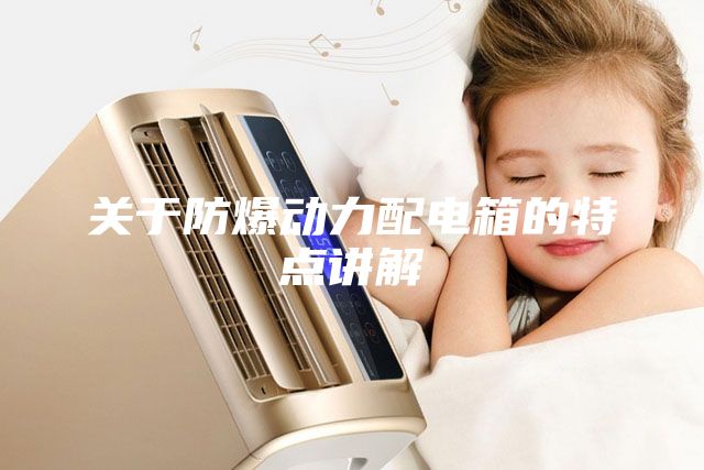 關(guān)于防爆動(dòng)力配電箱的特點(diǎn)講解