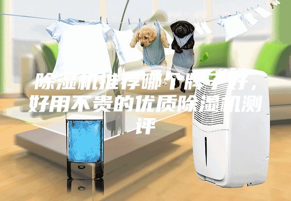 除濕機推薦哪個牌子好，好用不貴的優(yōu)質(zhì)除濕機測評