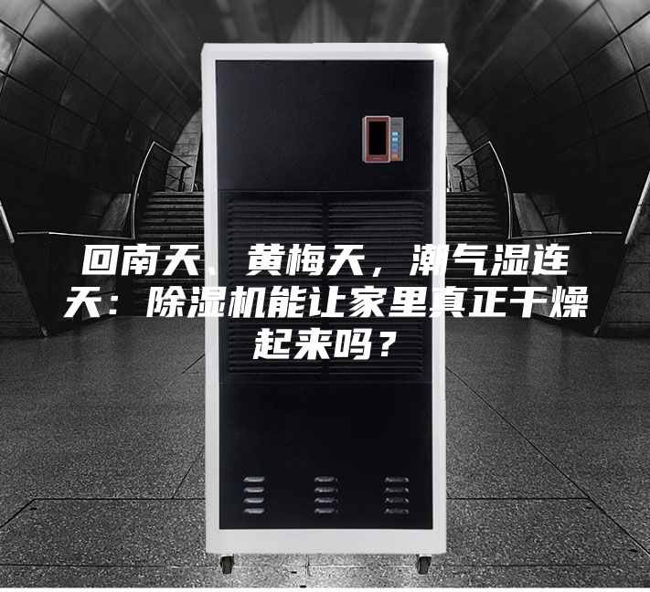 回南天、黃梅天，潮氣濕連天：除濕機(jī)能讓家里真正干燥起來嗎？