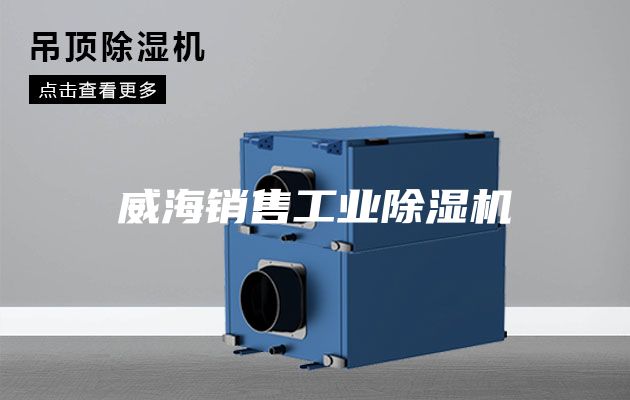 威海銷售工業(yè)除濕機