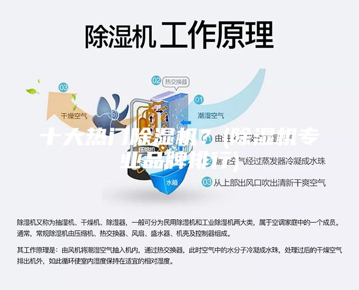 十大熱門除濕機？(除濕機專業(yè)品牌排行)