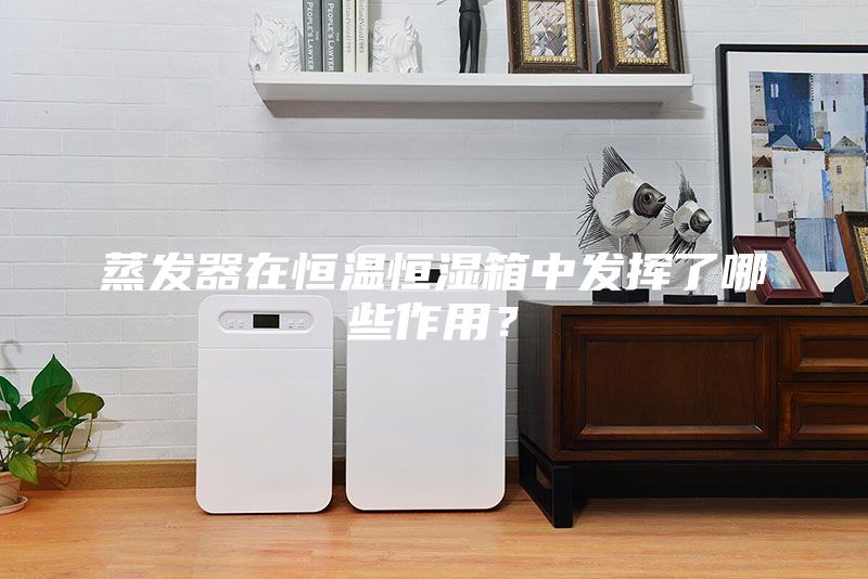 蒸發(fā)器在恒溫恒濕箱中發(fā)揮了哪些作用？