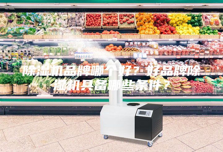 除濕機(jī)品牌哪個好？好品牌除濕機(jī)具備哪些條件？