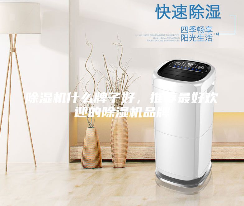 除濕機什么牌子好，推薦最好歡迎的除濕機品牌