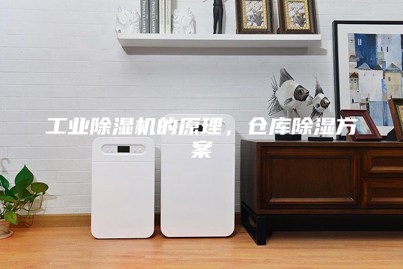 工業(yè)除濕機的原理，倉庫除濕方案