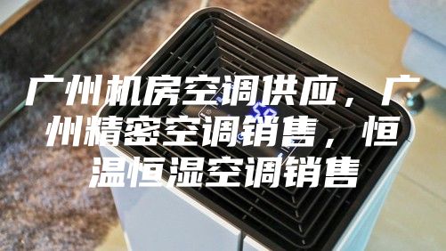 廣州機房空調(diào)供應(yīng)，廣州精密空調(diào)銷售，恒溫恒濕空調(diào)銷售