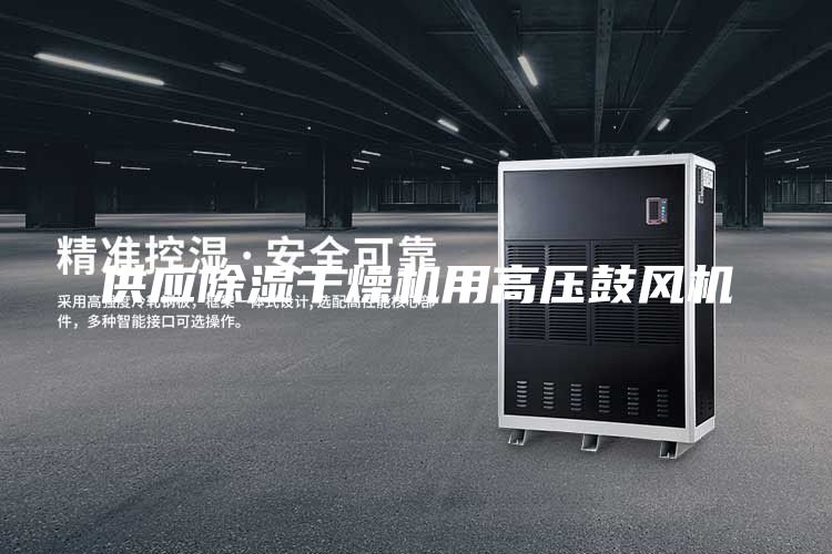 供應(yīng)除濕干燥機用高壓鼓風機