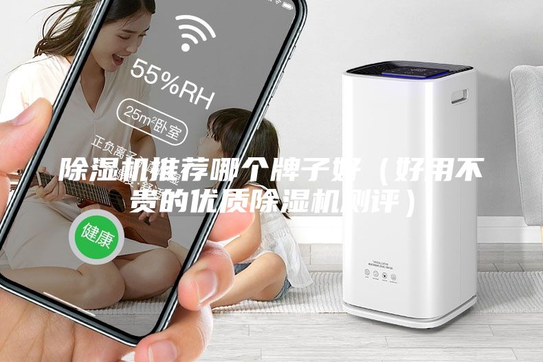 除濕機推薦哪個牌子好（好用不貴的優(yōu)質(zhì)除濕機測評）