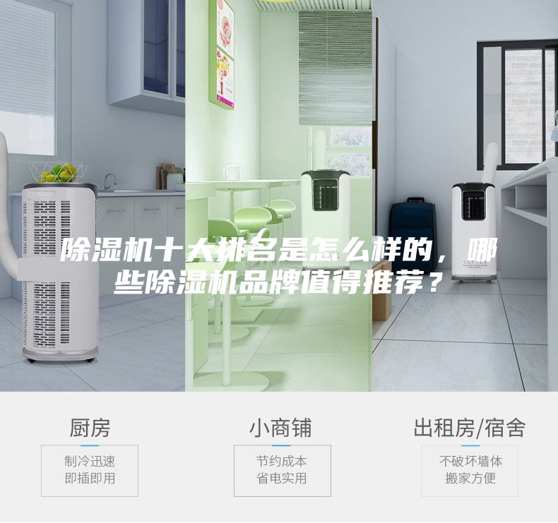 除濕機(jī)十大排名是怎么樣的，哪些除濕機(jī)品牌值得推薦？