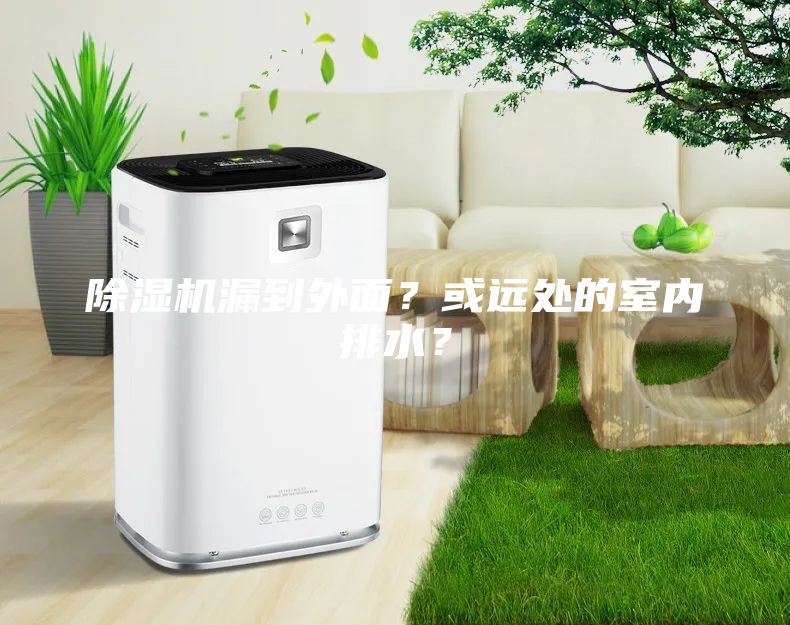 除濕機(jī)漏到外面？或遠(yuǎn)處的室內(nèi)排水？