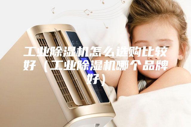 工業(yè)除濕機怎么選購比較好（工業(yè)除濕機哪個品牌好）