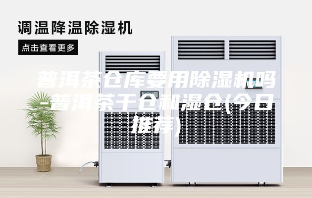 普洱茶倉庫要用除濕機(jī)嗎-普洱茶干倉和濕倉(今日推薦)